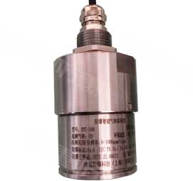 BTC-100 系列防爆智能气体探测器